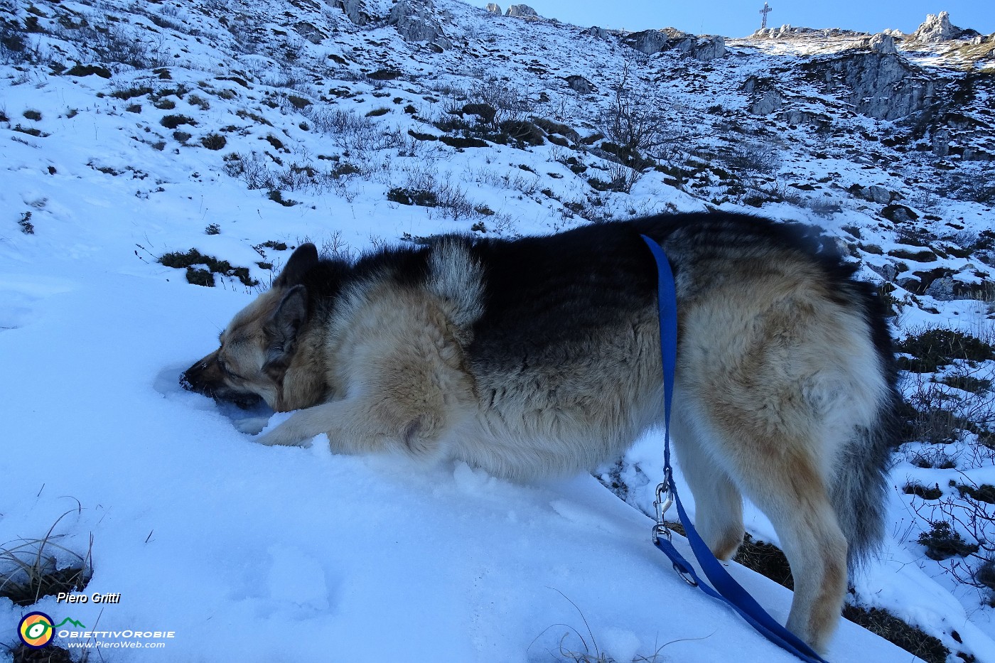 47 Dory assaggia la neve.JPG